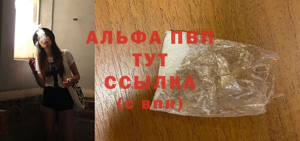 прущие грибы Касимов