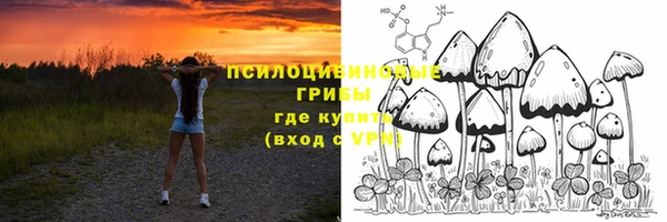 твердый Каменногорск